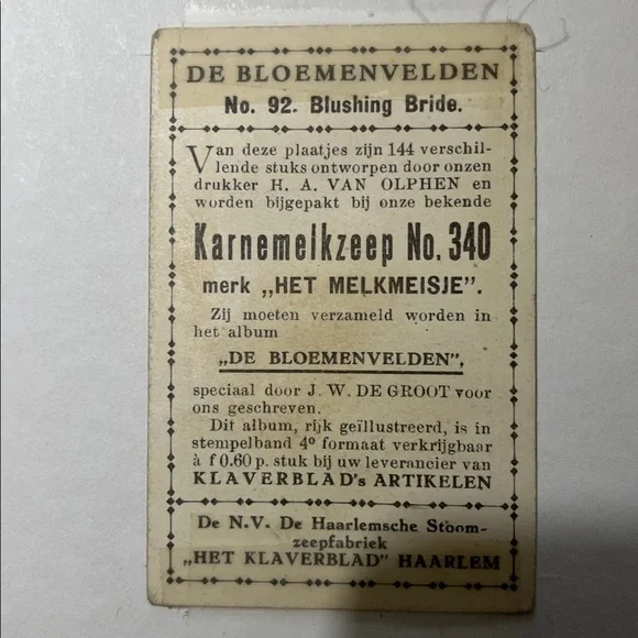 Vintage Dutch Bulb Card Pink “Blushing Bride” Matted - Picture 3 of 3